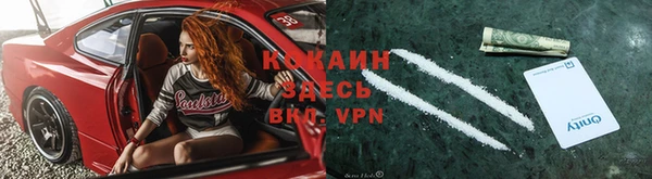 спиды Тавда