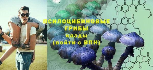 спиды Тавда