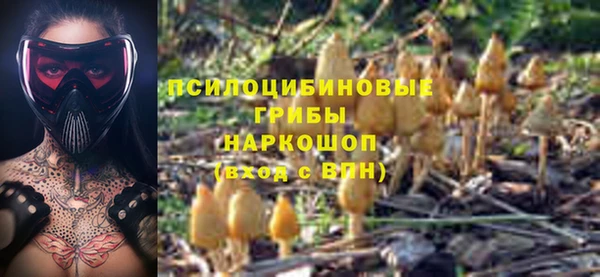 соль ск Рославль