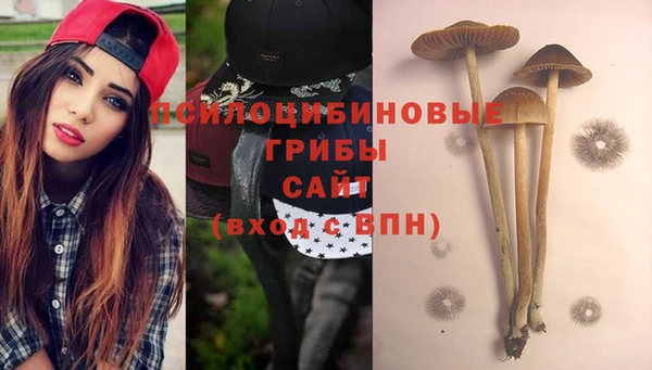 СК Тайга