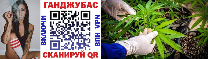 Бошки марихуана сатива  Ростов 